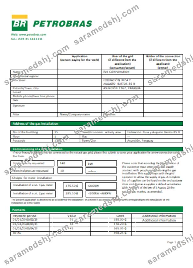 Petrobras Paraguay Operations and Logistics gas company utility business bill, SCR
